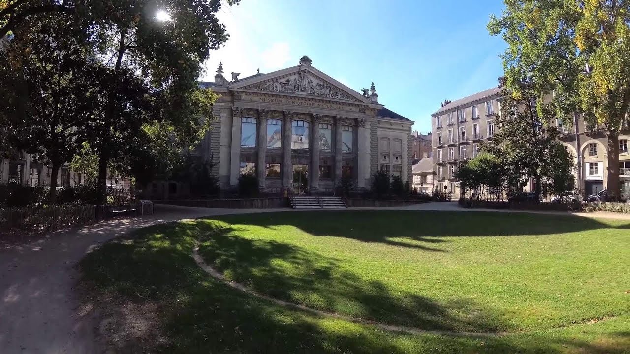 Natural History Museum of Nantes - Muséum d'histoire naturelle - Zoologie et minéralogie