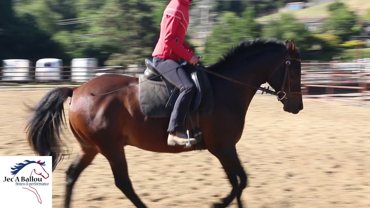 Trot to Canter Transition Exercise