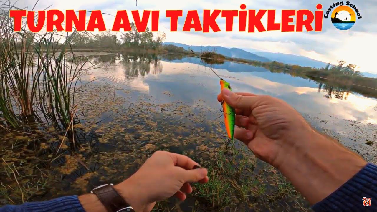 Spin İle Turna Balığı Nasıl Avlanır ? Turna Avı Teknikleri, At Çek Turna Avı Nasıl Yapılır?