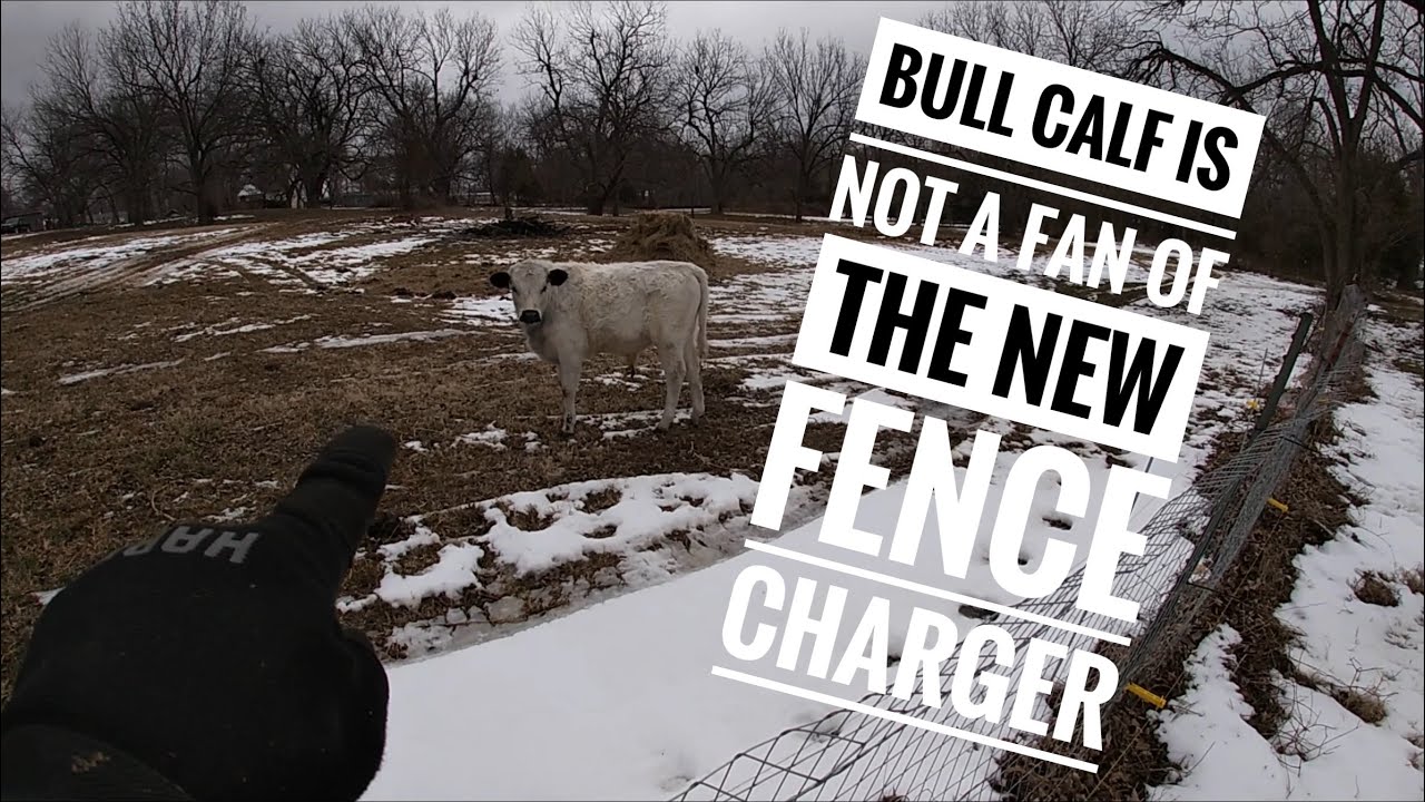 Gallagher S10 Solar Fence Charger Review