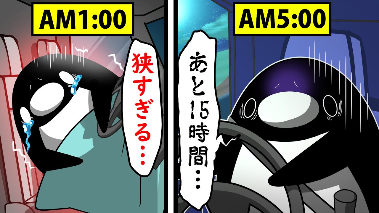 【アニメ】大型トラックの運転手になるとどうなるのか？