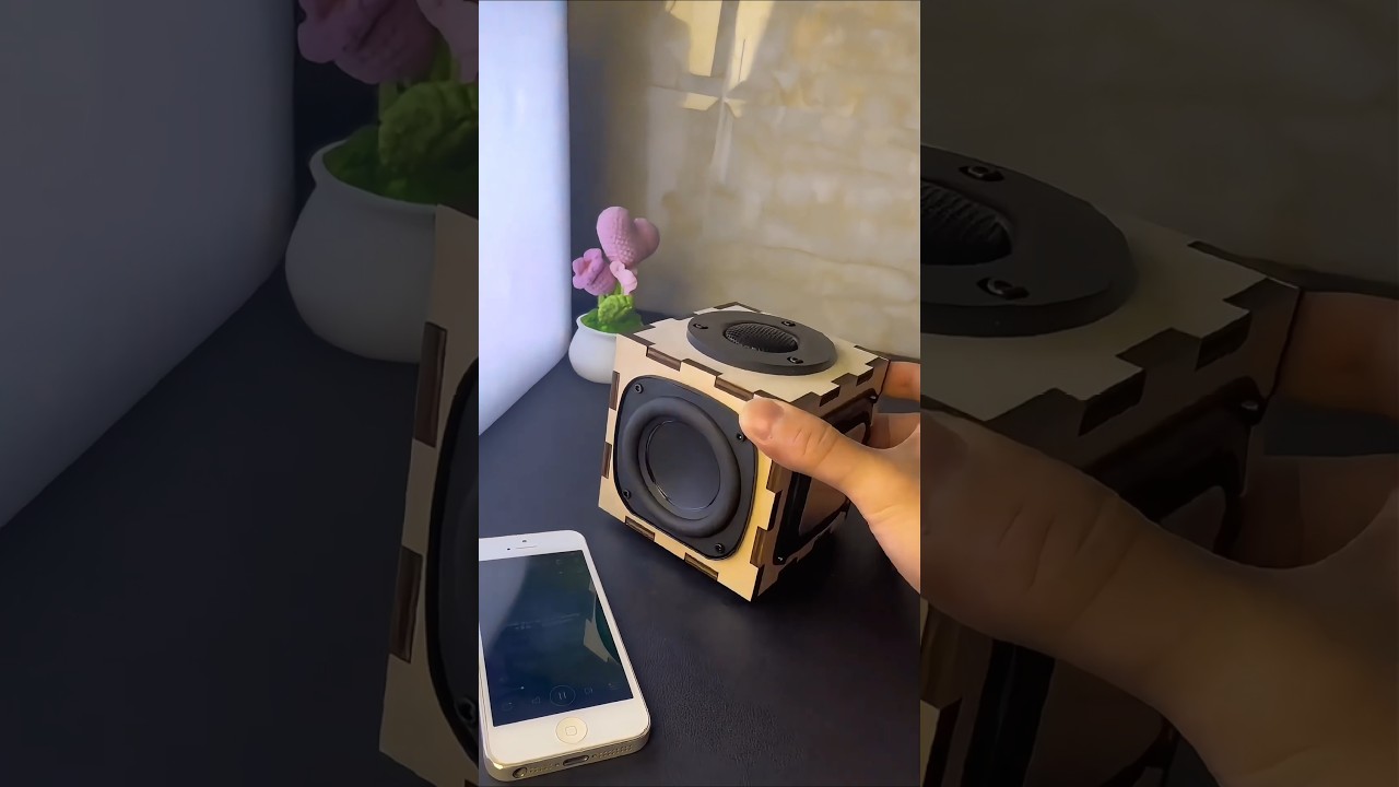 Amazing passive radiator bass, DIY speaker