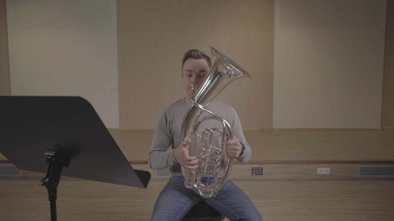Tenorhorn 