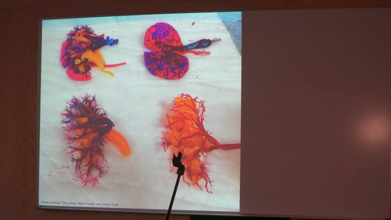 Redesigning Humanity: Evolution 2.0 &mdash; with Juan Enriquez