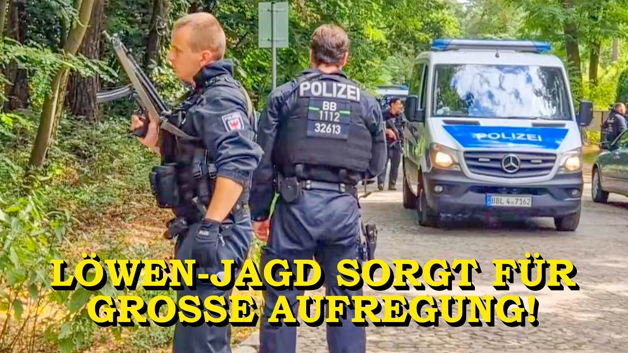 [LÖWEN-JAGD DURCH BERLIN] - RAUBTIER SORGT FÜR CHAOS - | POLIZEI im GROSSEINSATZ | ÜBER 100 KRÄFTE