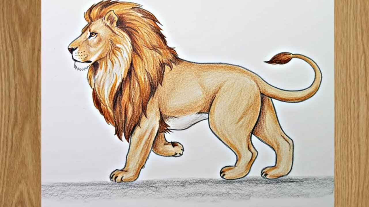 How to Draw a Lion Step by Step | Lion Drawing for Kids #drawing 