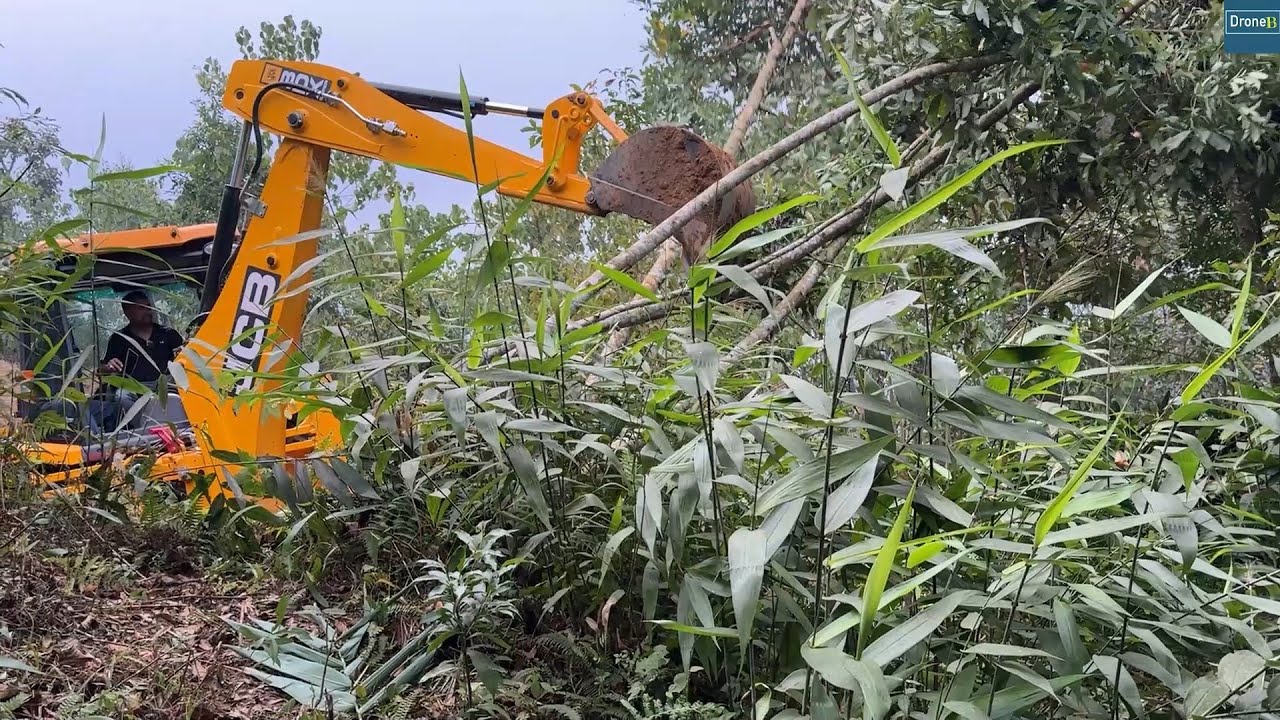 Mountain Jungle Road-Cutting Hillside, Clearing Bushes and Felling Trees with JCB Backhoe