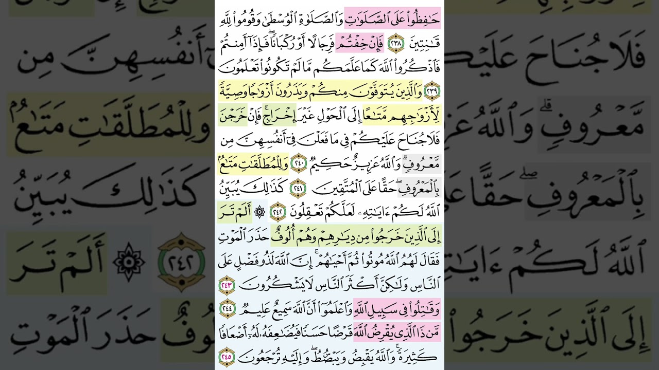 تحفيظ سورة البقرة تربيط تثبيت صفحة ٣٩#اكسبلور #القرآن_الكريم