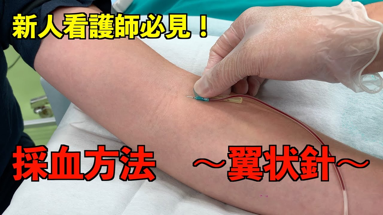 実演！採血のやり方～翼状針～