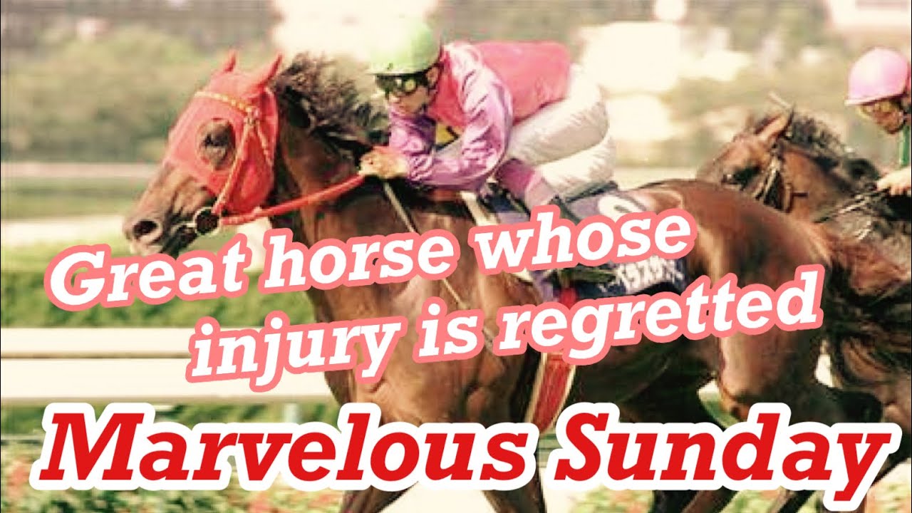 Marvelous Sunday（マーベラスサンデー）, introduce the great horse of Japan
