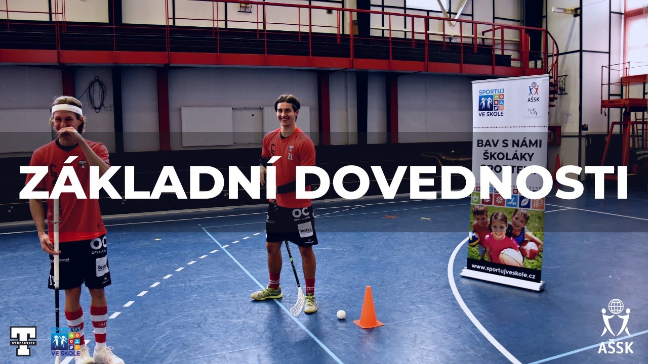 Máme rádi pohyb - sport - florbal: ZÁKLADNÍ DOVEDNOSTI