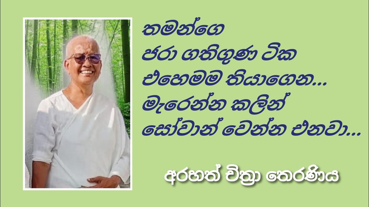 මේ ජීවිතේත් සැනසීමෙන් ඉඳල..දිගින් දිගට යන උපත මරණයෙන් නිදහස් වෙන්නත්  මග- Arahath Chithra Theraniya