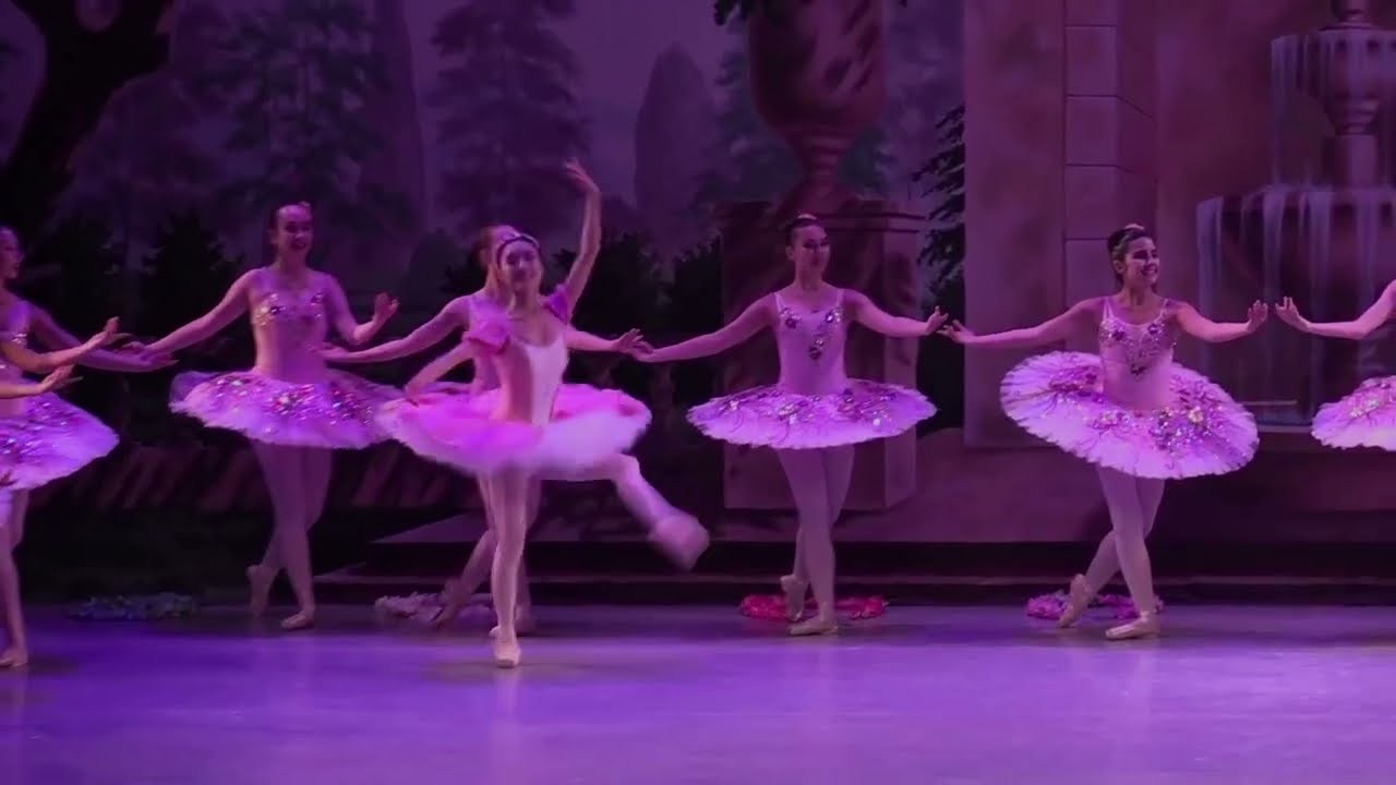Arts Ballet Theatre of Florida: 25th Anniversary Gala