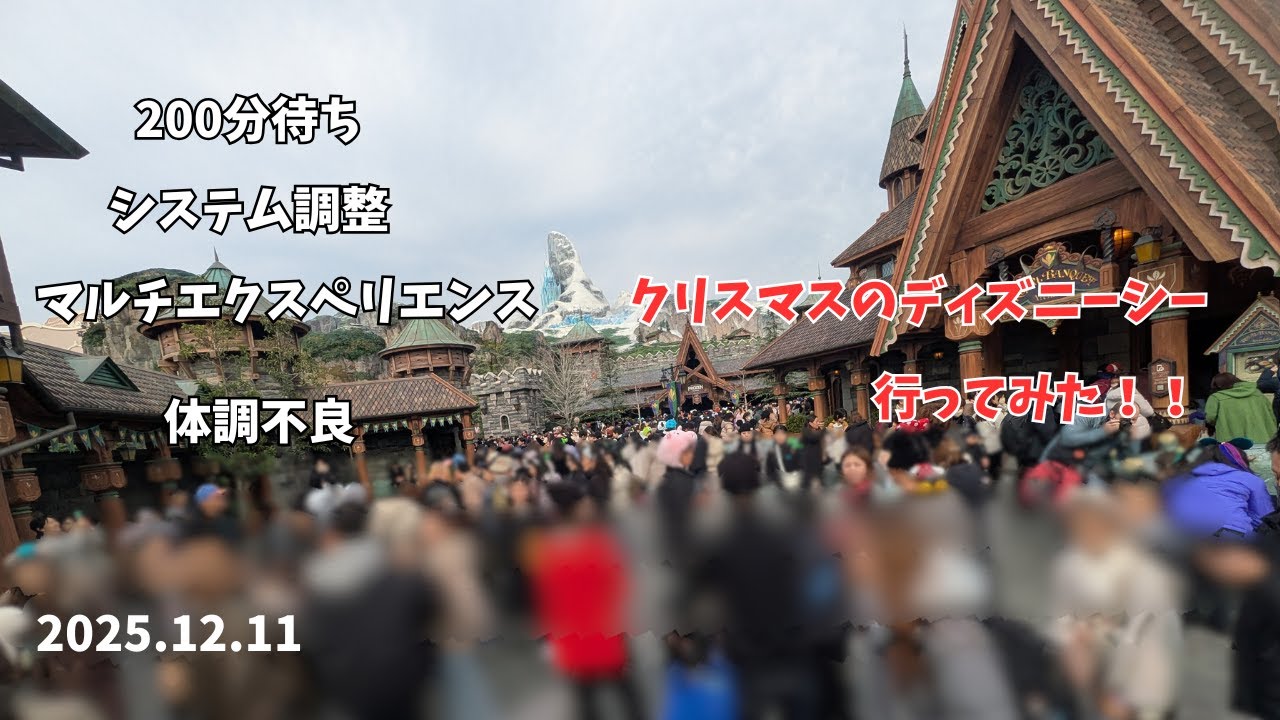 クリスマスディズニー行ってみた！