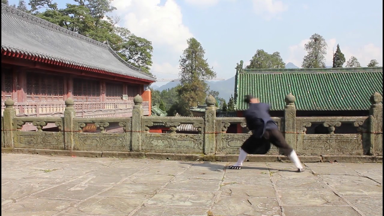 Tutorial: long hua quan  (龙华拳)