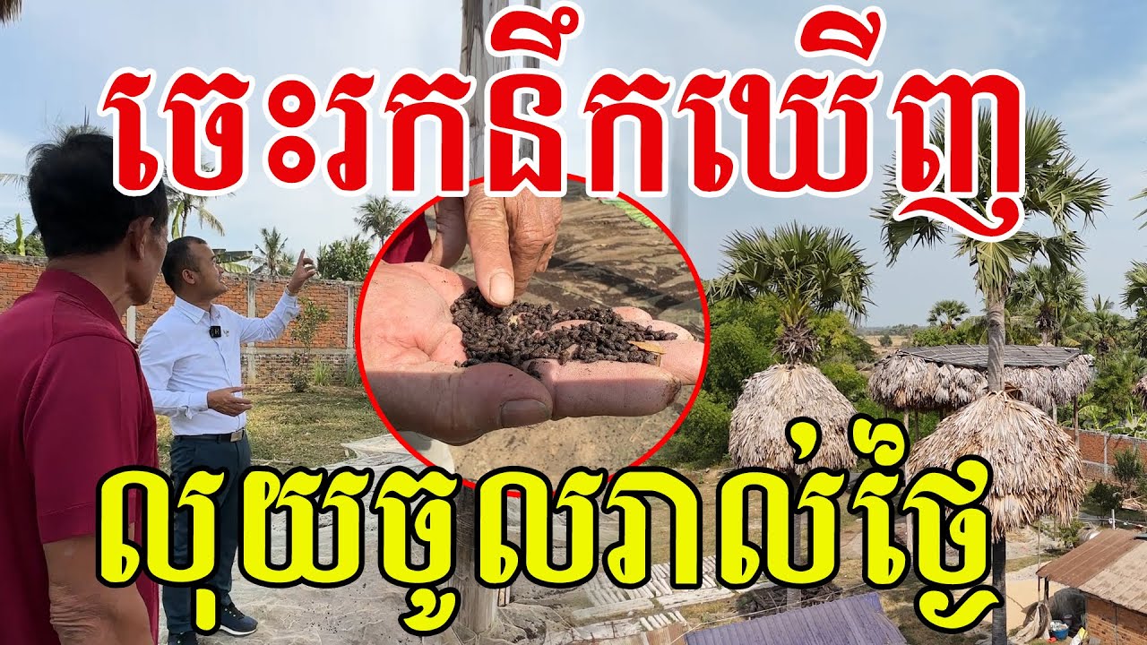 ចេះរកនឹកឃេីញ​ពូ ងាយៗចំណូលចូលរាល់ថ្ងៃ​ សូមសរសេីរ