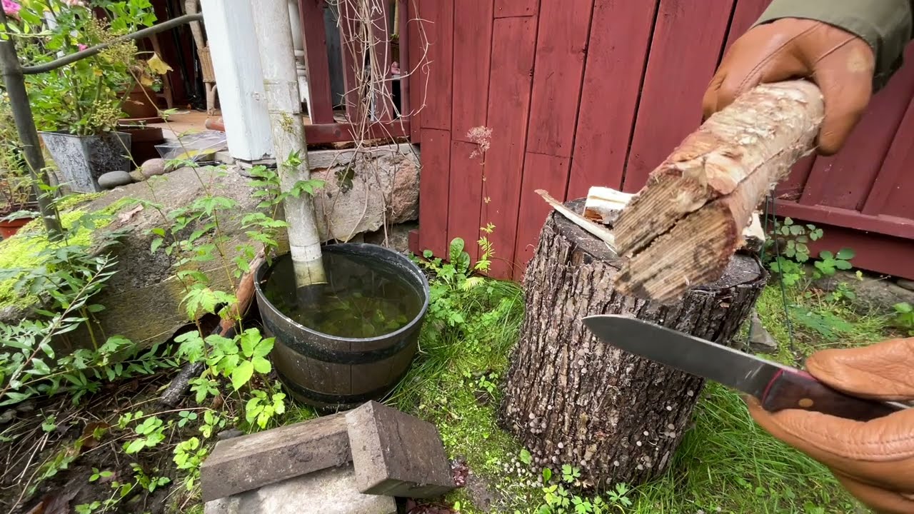 LOVING this More and More. Brisa Kephart 115. Mushroom foraging action in the end.