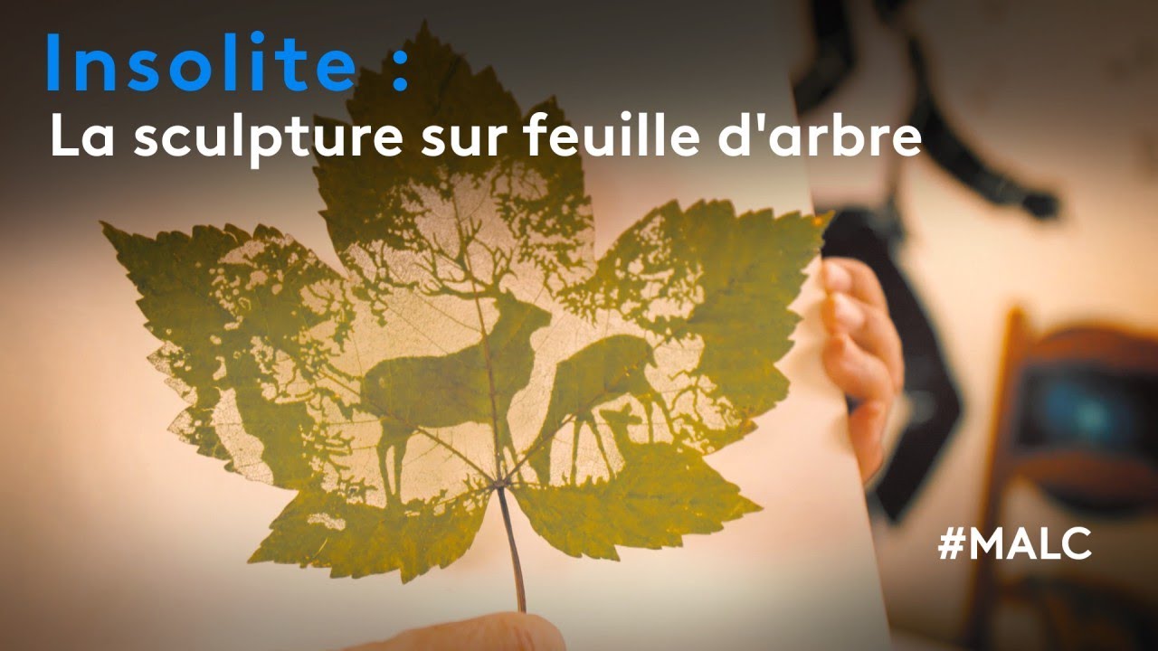 Insolite : la sculpture sur feuille d'arbre