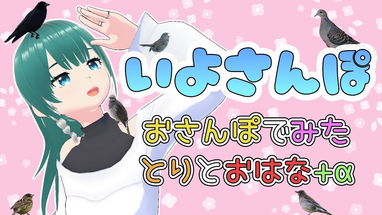 【 #いよさんぽ 】朝のお散歩で見た生き物を紹介するよ！【1日目】