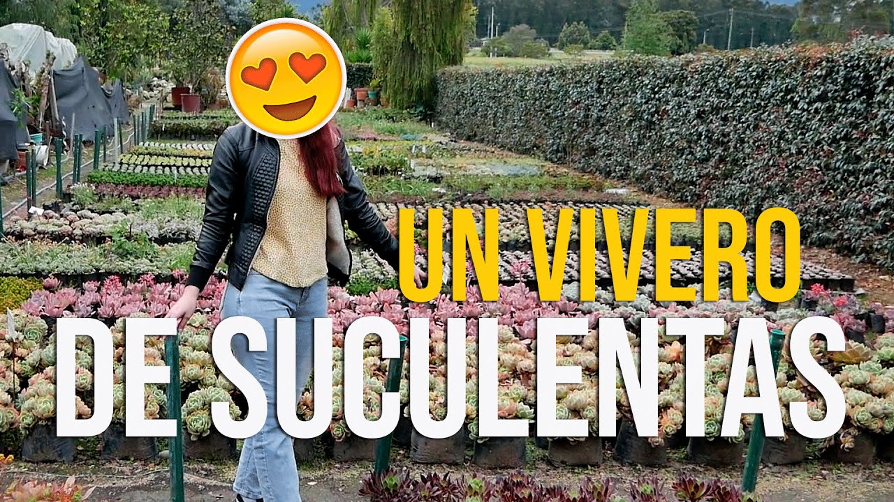 VIVERO ESPECIALIZADO EN SUCULENTAS EN CUNDINAMARCA