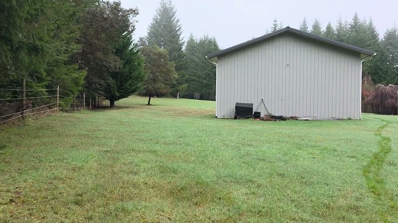 Carols place