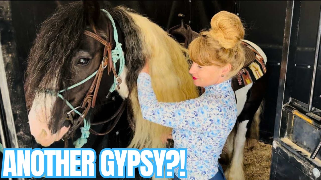 Did We BUY A Horse At The FIRST Auction? Let’s See!