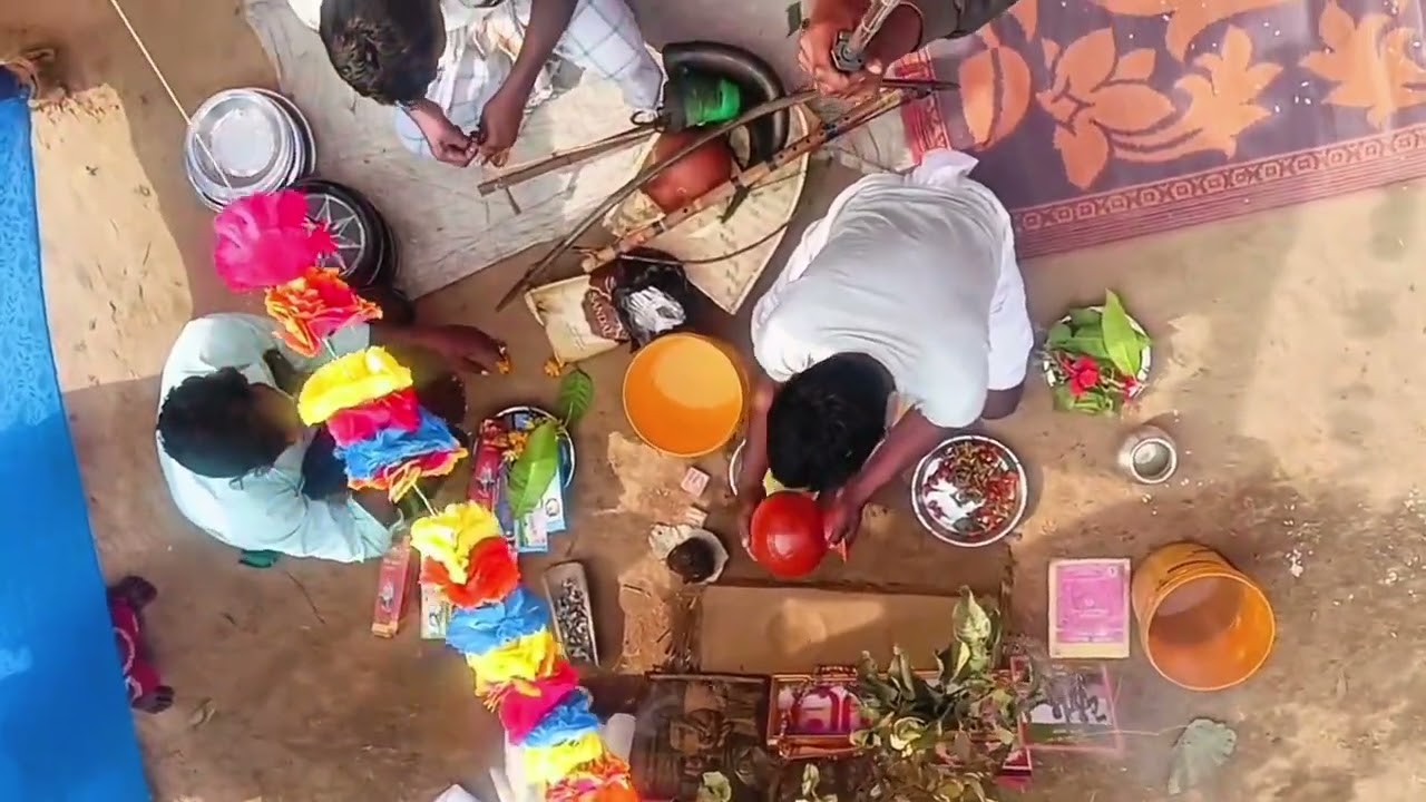 BONGA BURU BIDU CHANDAN paragora BONGA BURU BIDU CHANDAN 2026
