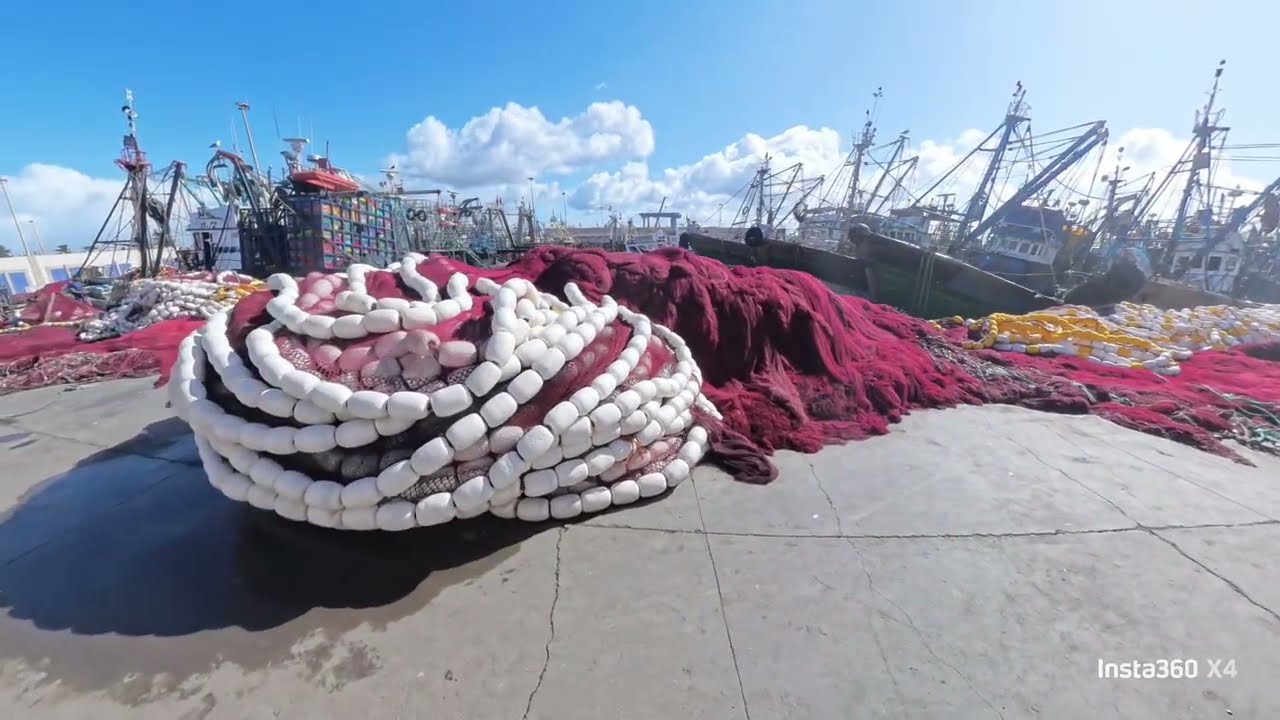 Coulisses du Port d’Essaouira : J’ai visité un sardinier et un chalutier #maroc #essaouira #mogador
