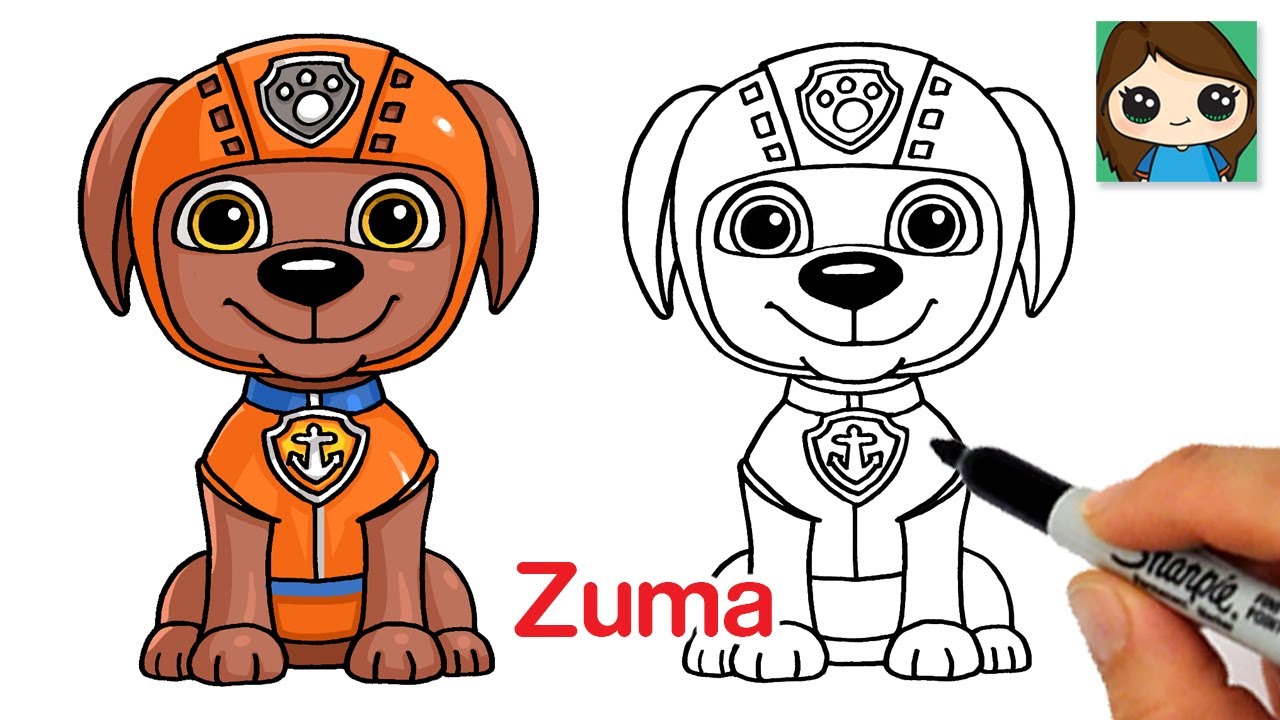 How to Draw Zuma 🦴 Paw Patrol
