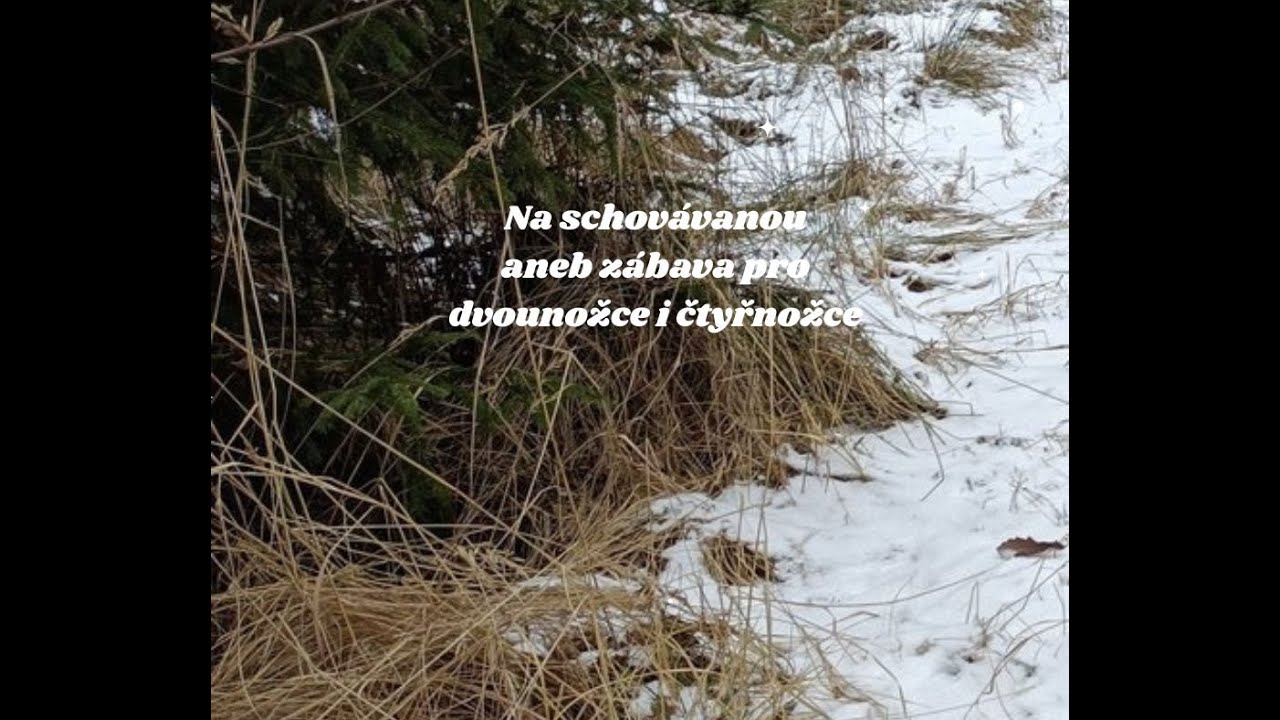 Na schovávanou aneb zábava pro dvounožce i čtyřnožce