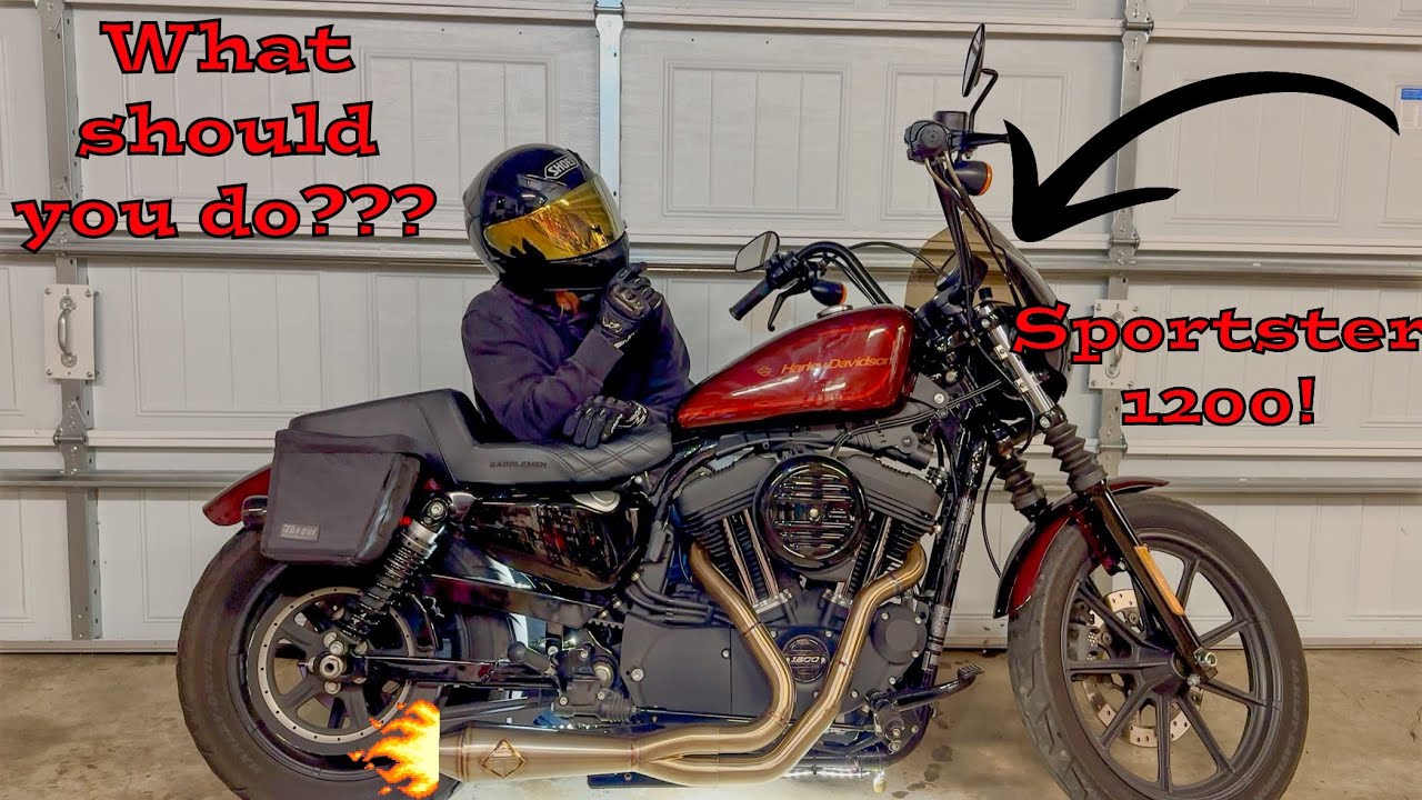 WHAT YOU SHOULD DO TO YOUR SPORTSTER!