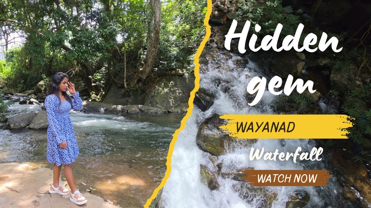 hidden places to visit in wayanad.  #wayanad #travel #wild #hiddengems