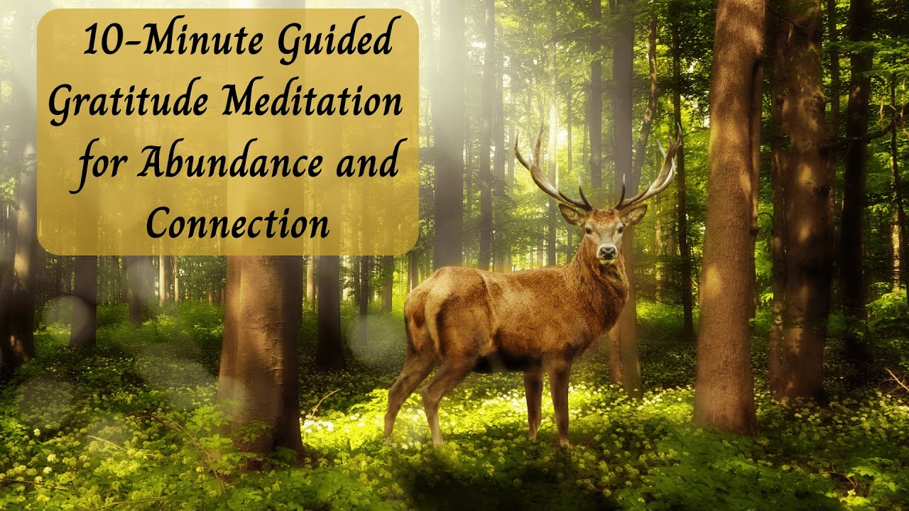 10-Minute Guided Gratitude Meditation for Abundance and Connection