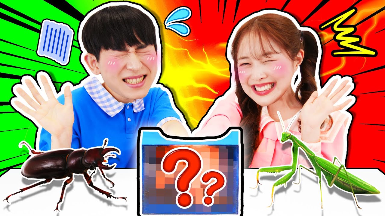 상자 속에 들어있는 곤충의 정체는?? 곤충 박사 다니와 함께  맞혀봐요!  | 퀴즈 | 다니유치원