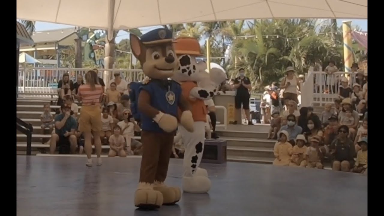 Seaworld Theme Park - Paw Patrol Live, Kids Fun Playing