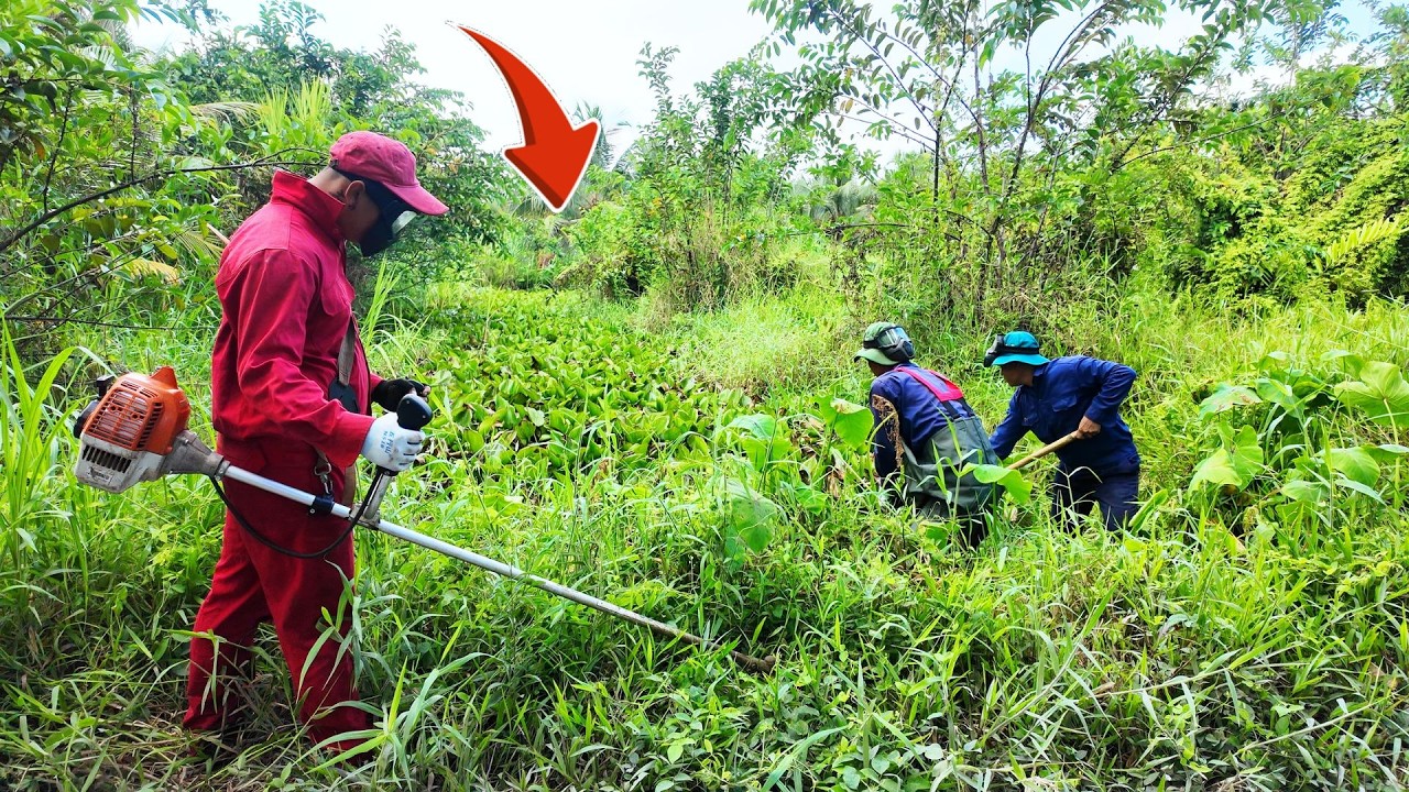 SHOCKING REVIVAL of a Garden Pond ABANDONED for 5 YEARS with PROFESSIONAL EQUIPMENT