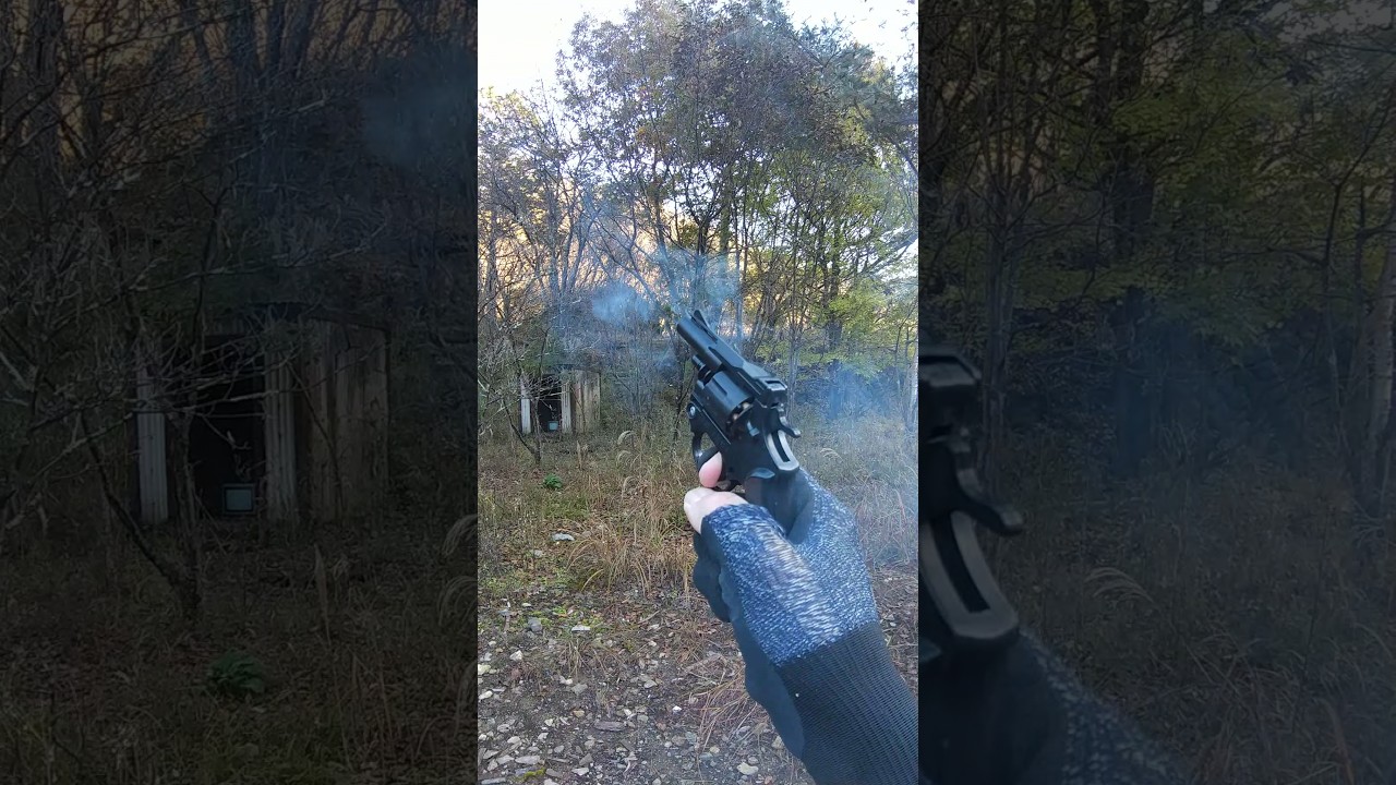 熊(クマ)を火薬銃で追い払う方法！