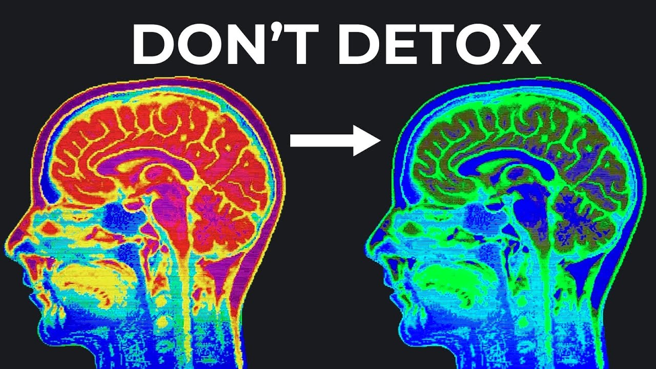 Before You ‘Dopamine Detox’, Watch This (under 5 minutes)
