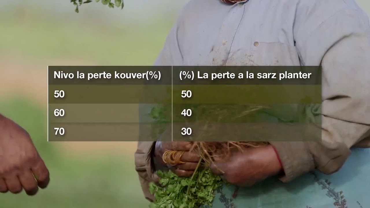 SFWF Crop Loss Compensation Scheme