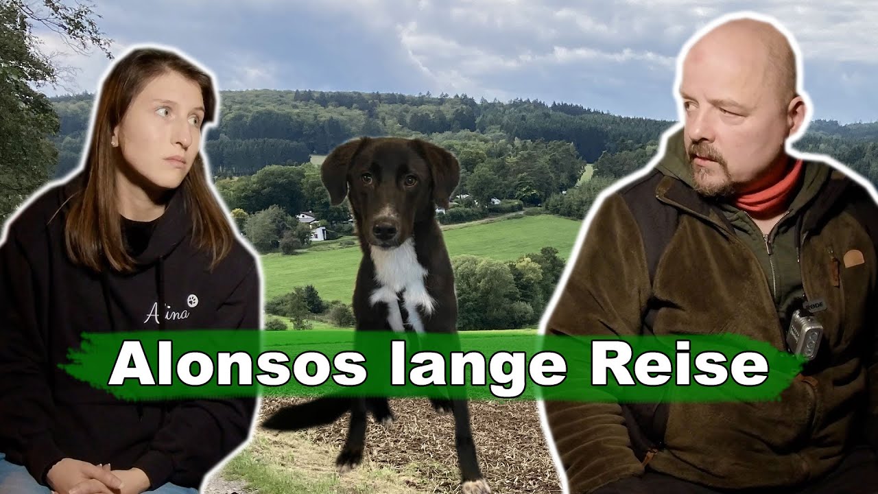 Alonsos lange Reise - Tiernotruf #321