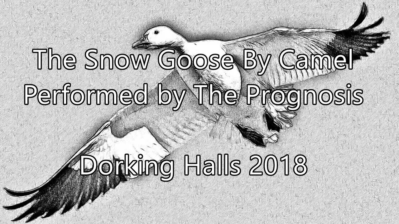 The Snow Goose performed by The Prognosis