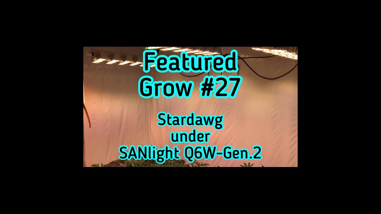 FEATURED GROW #27: STARDAWG under dimmed Q6W-Gen.2 LEDs 📹🌱🌿⭐️🐕👍🏻😎 Part 1 - Vegetative Phase