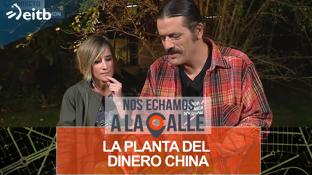 I&ntilde;igo Segurola nos presenta la planta del dinero china