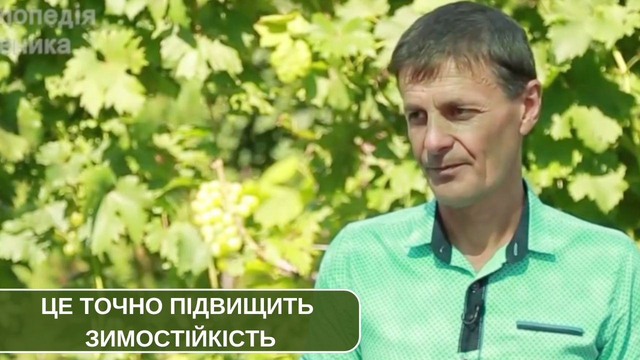 Що потрібно рослинам для визрівання перед зимівлею