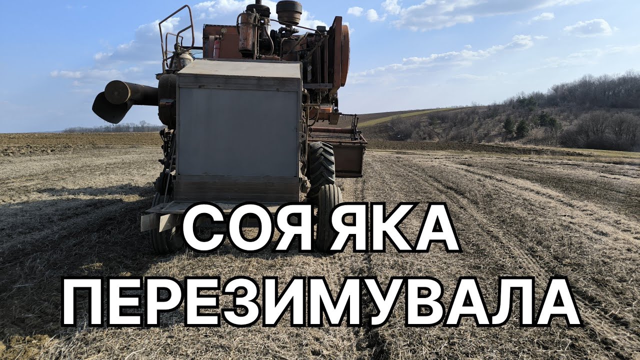 Весняні жнива, стан сої яка перезимувала, ціна. 