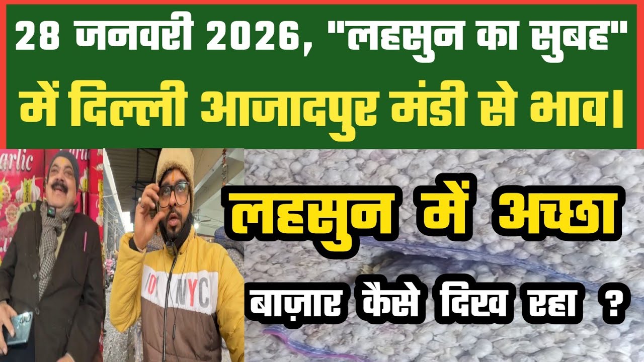 लहसुन में अच्छा क्या Azadpur Delhi Mandi Today 28-01-2026 को बने ऐसे Garlic Price DMT TV 