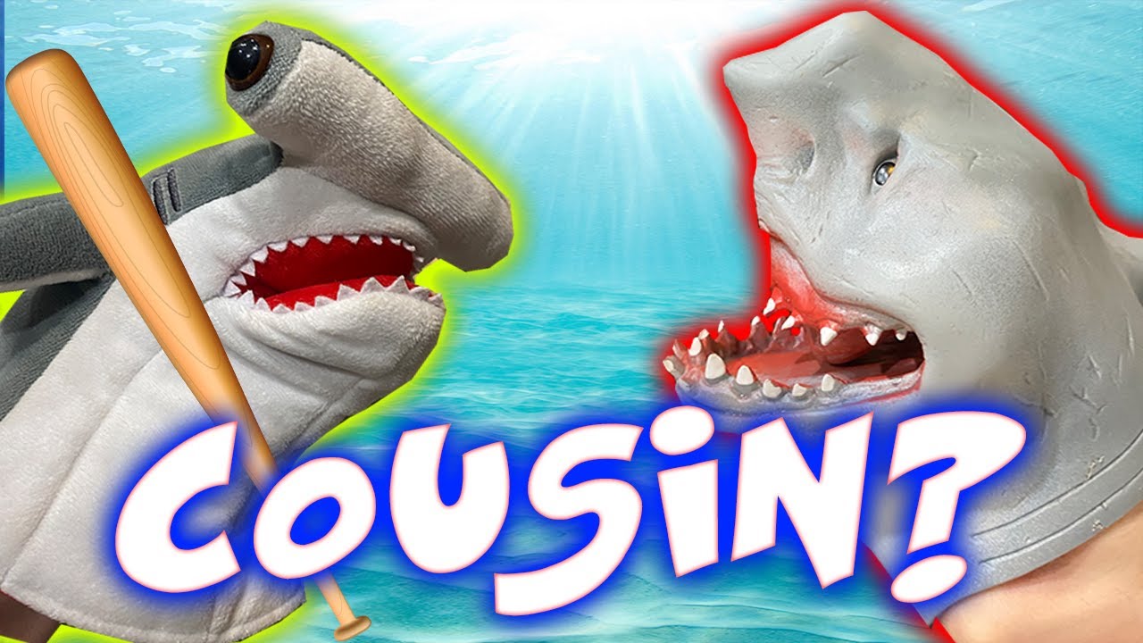 SHARK PUPPETS HAMMERHEAD COUSIN!!!!!