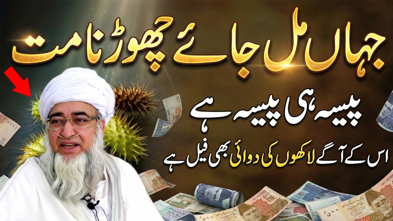 Jahan Mil Jaye Chorna Mat | Ye Jangli Phal Apko Ameer Bana De Ga | Qudrat Ka Anmol Khazana