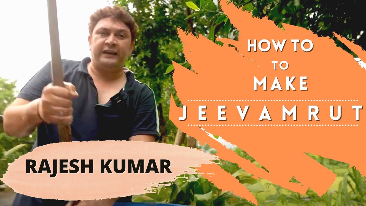 जीवामृत कैसे बनाते हैं ? JEEVAMRUT Kaise banate hain - by 
