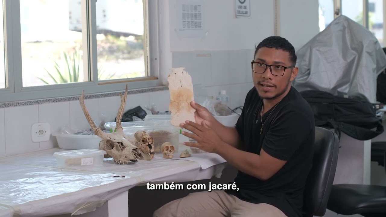 Conheces a Zooarqueologia?